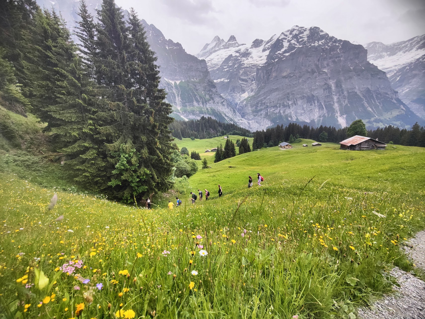 Menschen gehen hintereinander auf einem schmalen Pfad über eine Bergwiese, Berge im Hintergrund